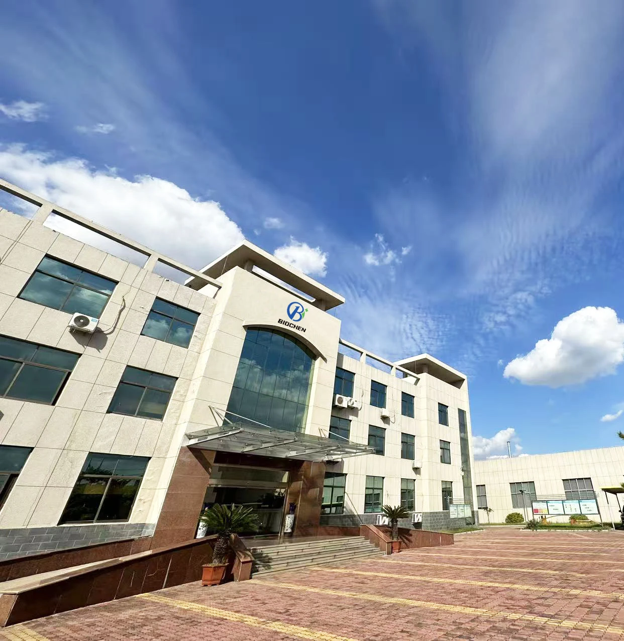 About Our Company